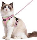 rabbitgoo Cat Harness and Leash by rabbitgoo
