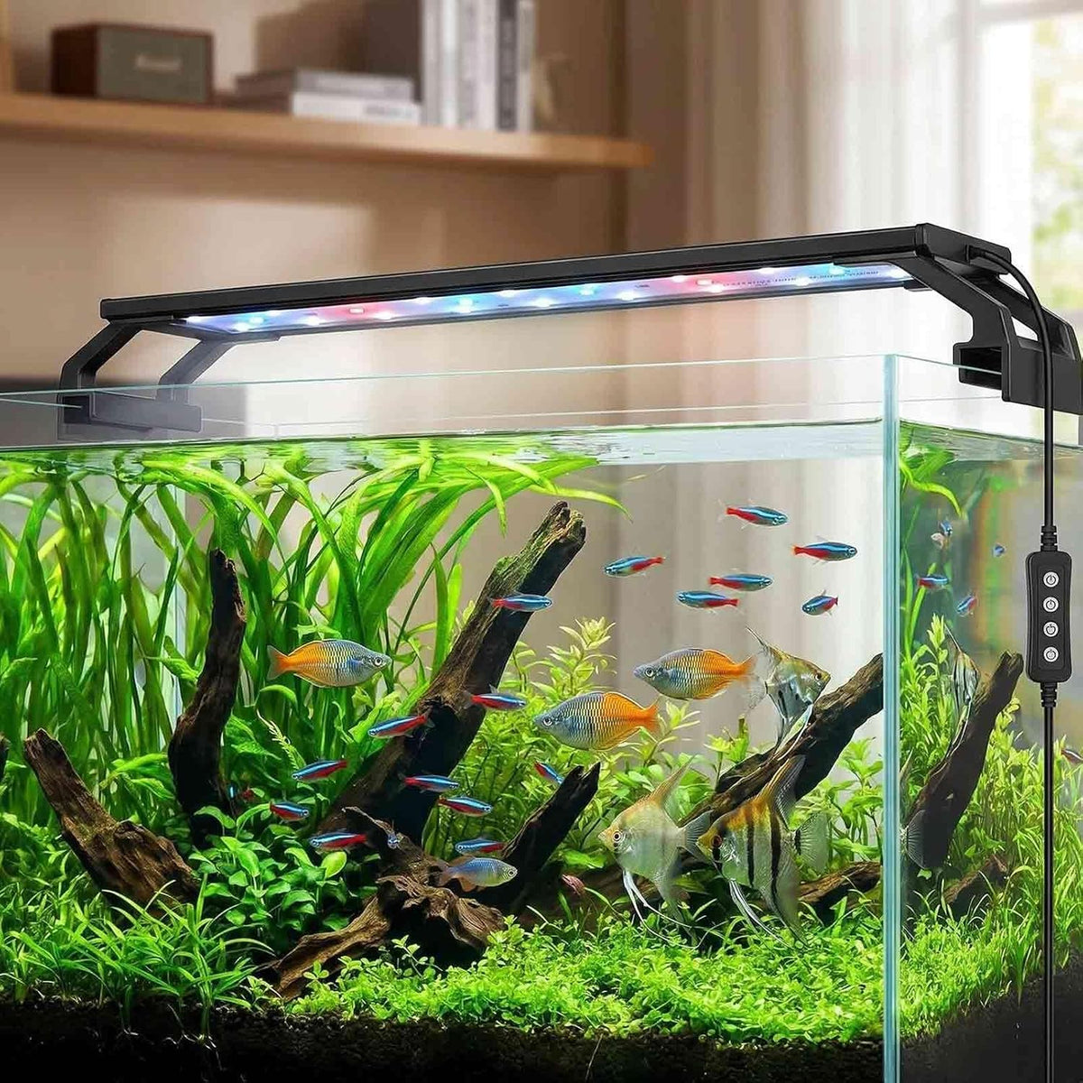 10W Full Spectrum Aquarium Light with Aluminum Alloy Shell Extendable Brackets, White Blue Red LEDs, Adjustable Brightness, Timer Controller, for Freshwater Fish Tank,Plant Light (11.8 inches)