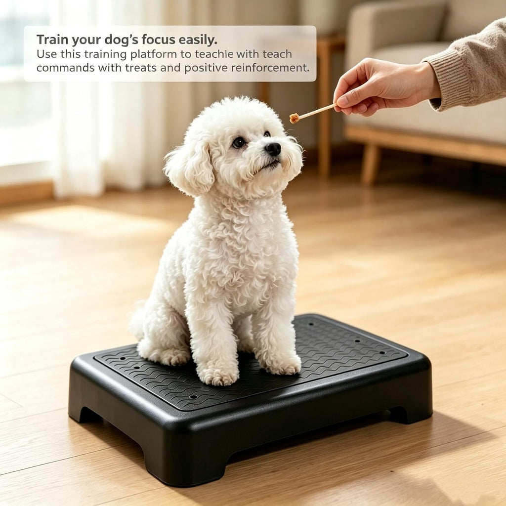 Dog Training Place Board with Whistle, Non-Slip Portable Dog Platform for Agility, Puppy Training Equipment for Small Medium Dogs 17.3"x13.4"x3.8" (Black)