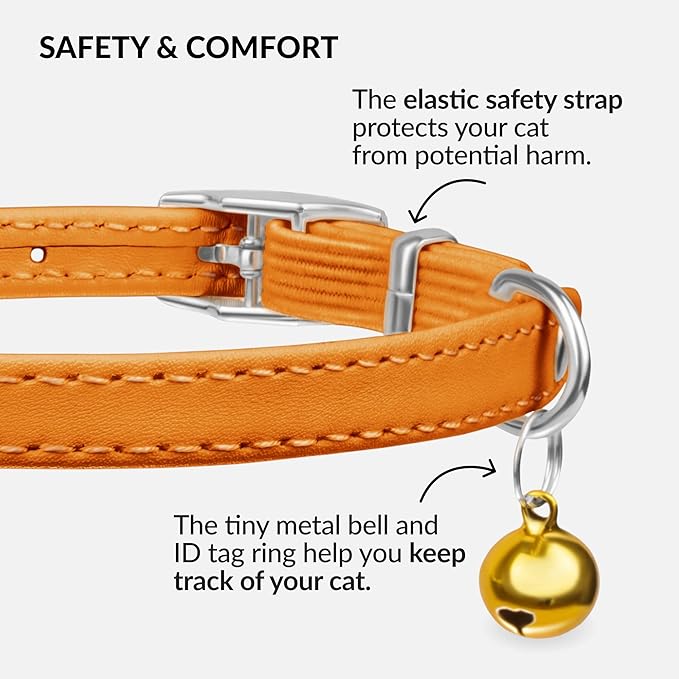CollarDirect Leather Cat Collar - Image 4