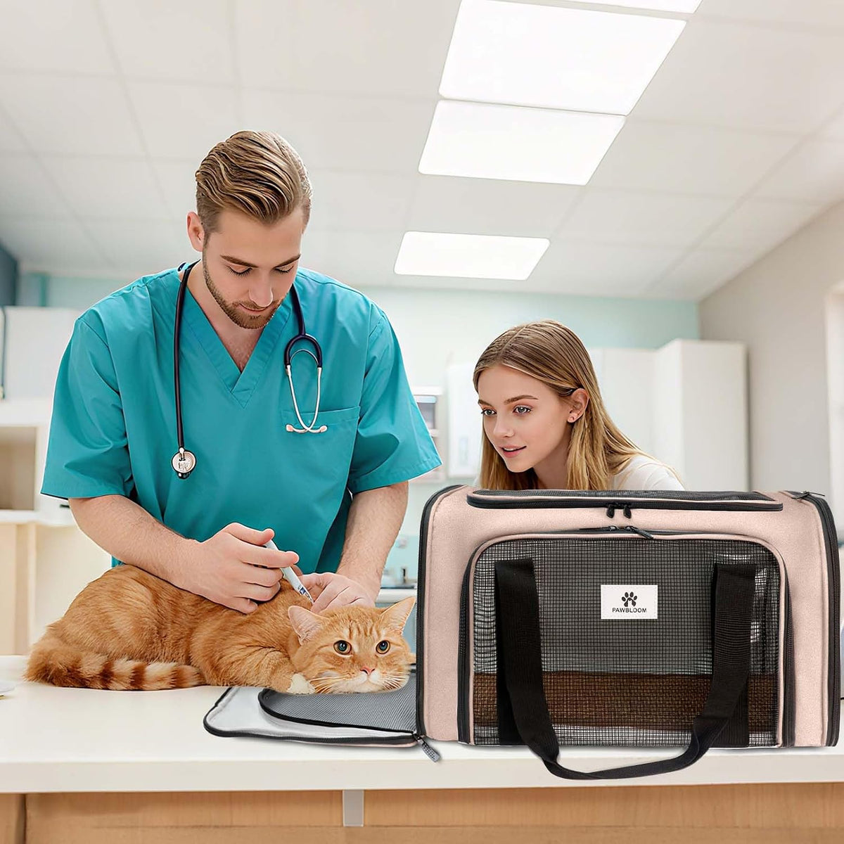 Cat Carrier Soft Sided for Cats and Small Dogs