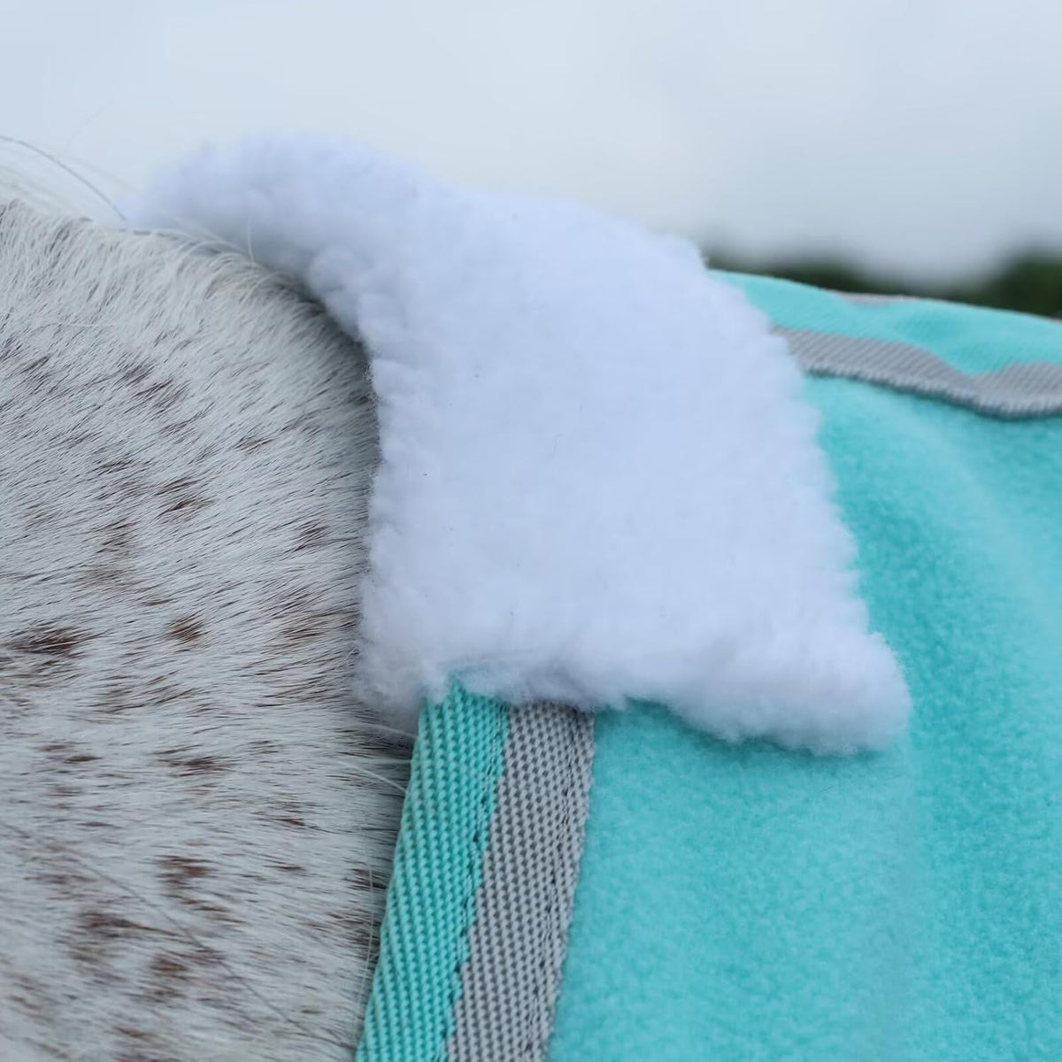 LEAFOREST Horse Fleece Blanket Exercise Cooler Liner Soft Moisture Wicking