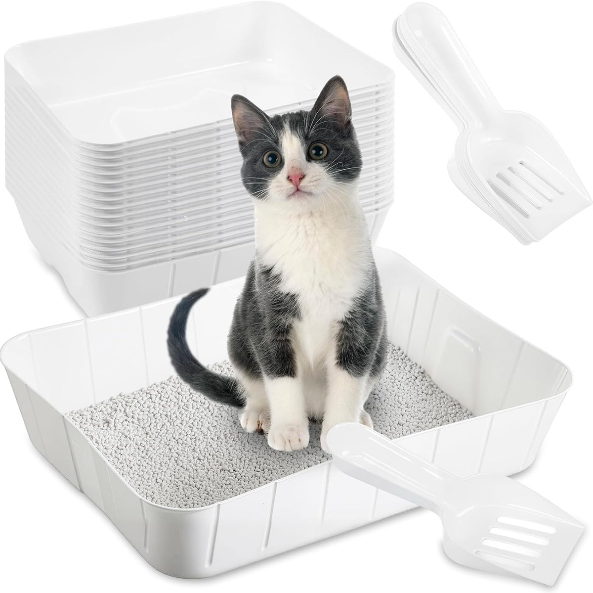 Bokon Pcs 50 Disposable Litter Boxes for Cats with Scoop, Black