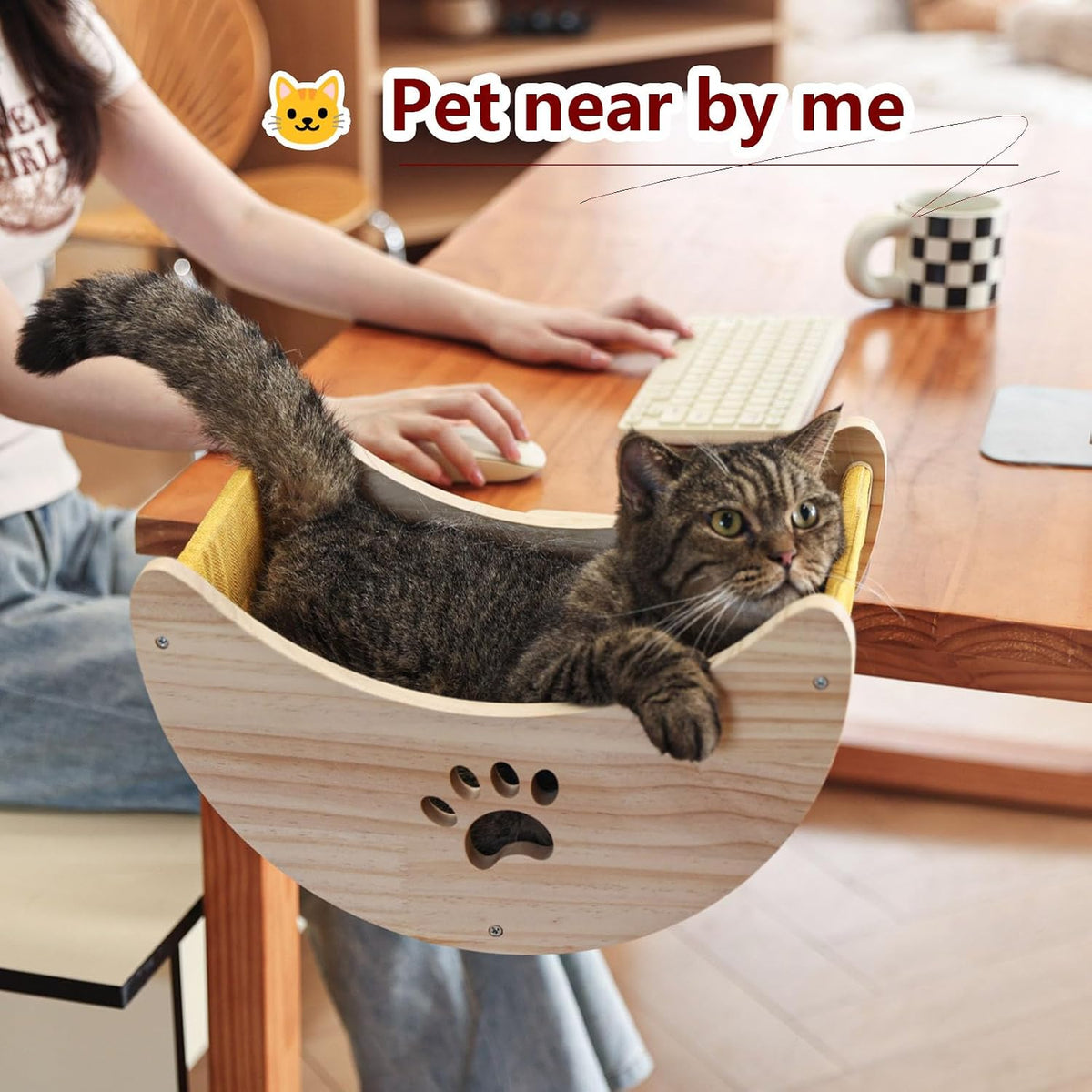 Cat Window Perch Hammock Bed with Strong Suction Cups, Space-Saving Window Cat Bed for Indoor Cats, Multi-Use Moon Shelf for Desk or Window