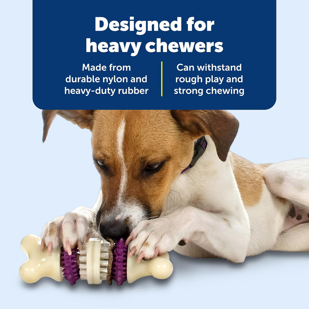 PetSafe Busy Buddy Bristle Bone Dog Treat Holding Chew Toy, Medium