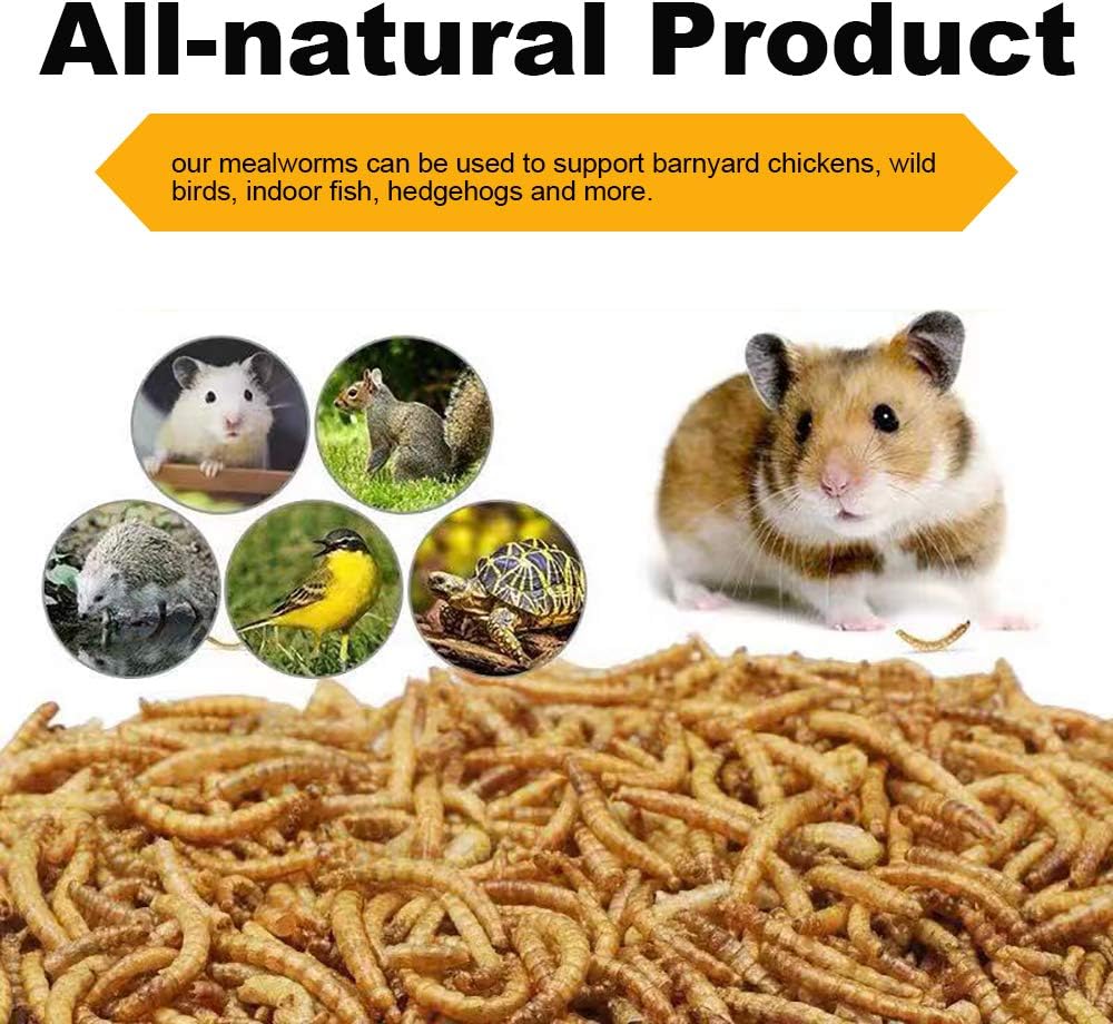 10lb Dried Mealworms for Chickens Duck High Protein Birds Treat