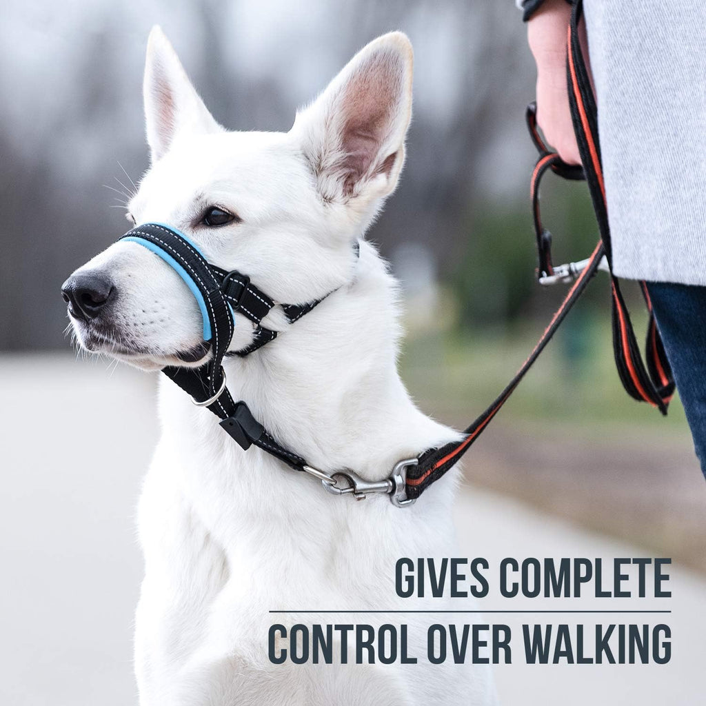 GoodBoy Dog Head Halter with Safety Strap - Stops Heavy Pulling On The Leash - Padded Headcollar for Small Medium and Large Dog Sizes - Head Collar Training Guide Included (Size 2, Blue)