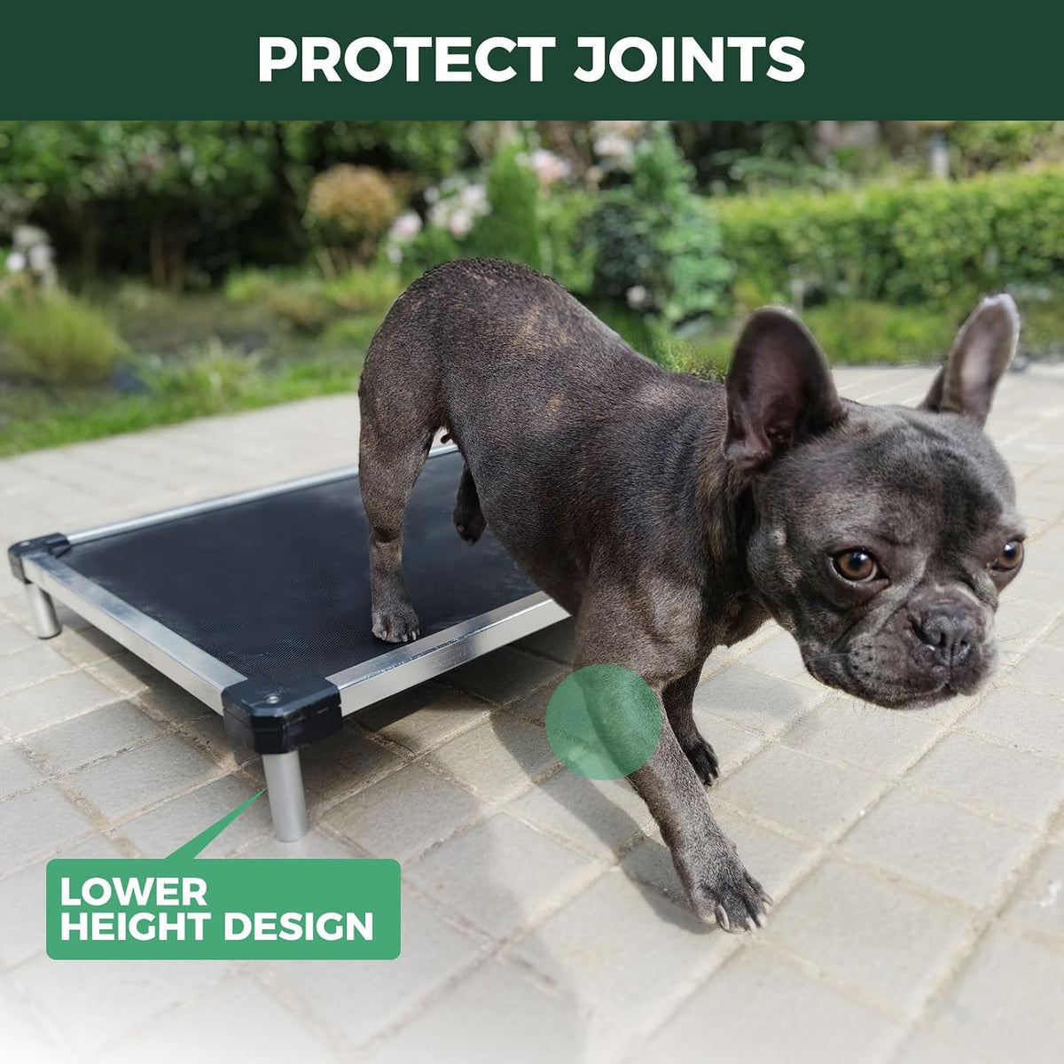 FXW TitanNest Cooling Chew-Proof Elevated Dog Bed for Extra-Small Dogs