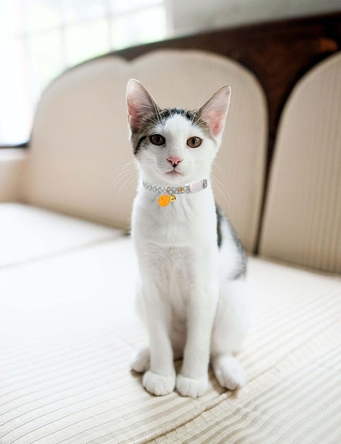 Cat Collar Breakaway with Bells, 3 Pack Safety Adjustable Pet Collars - Image 6