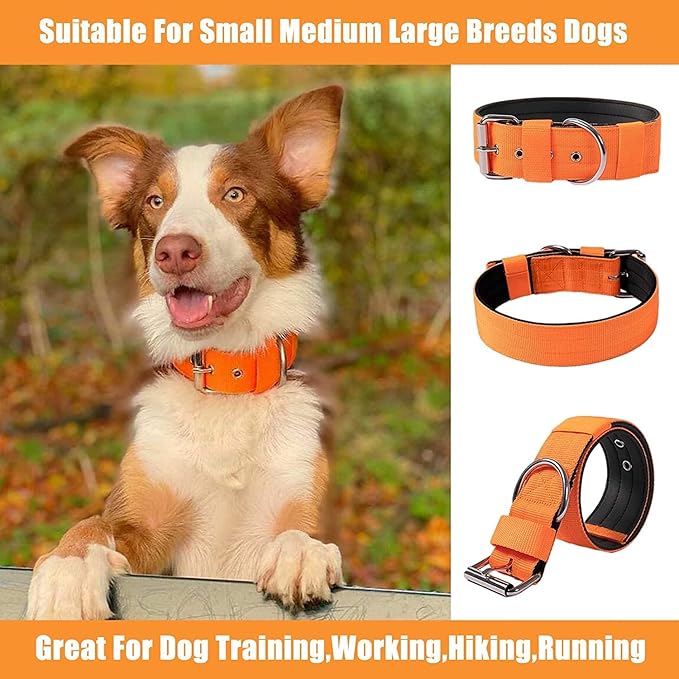 Heavy Duty Tactical Dog Collar - Image 8