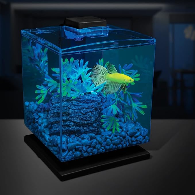 GloFish Aquarium Gravel 5 Pounds, Pearlescent, Complements Tanks and Décor - Image 4