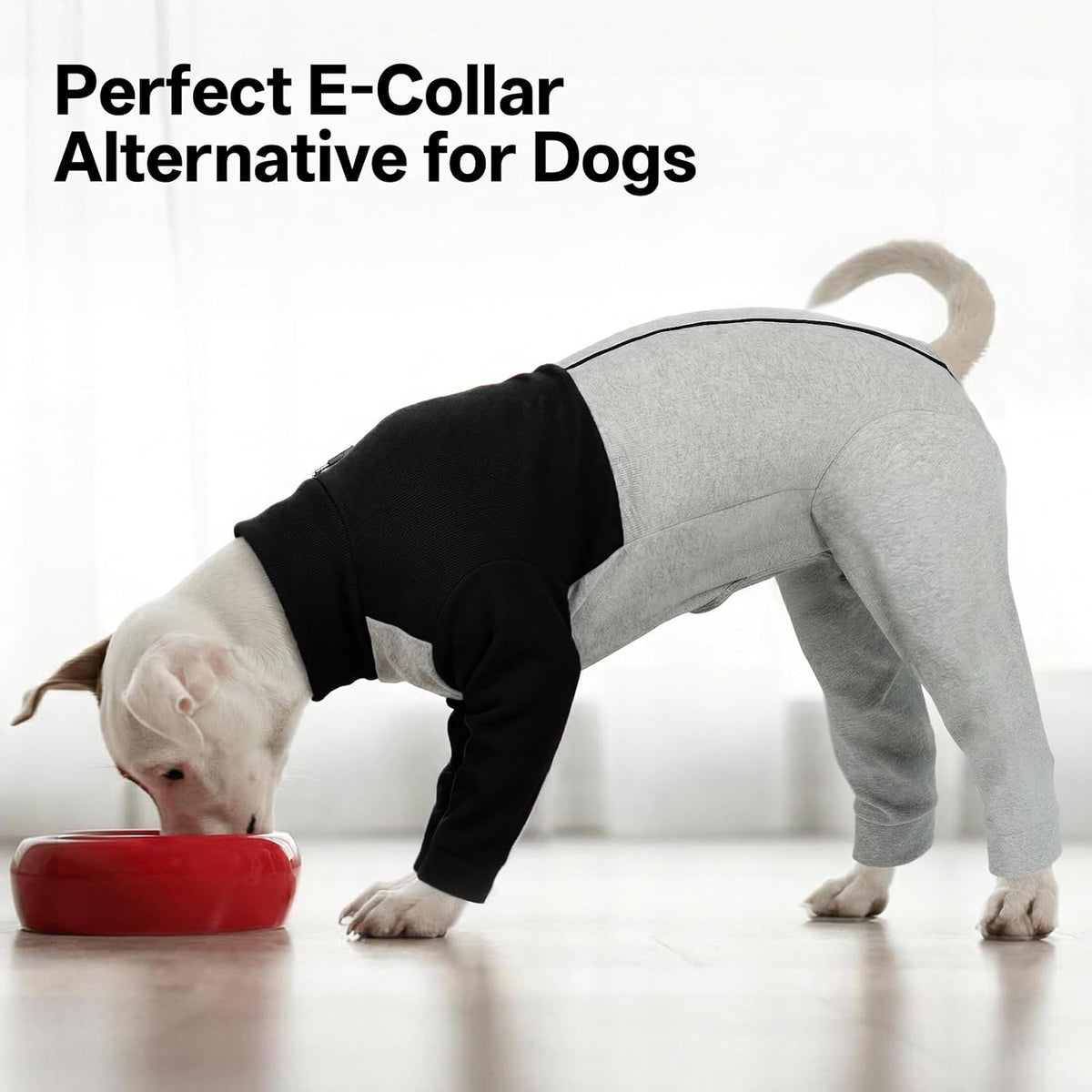 Lelepet Surgical Suit for Dogs, Full Body Dog Surgery Recovery Suit