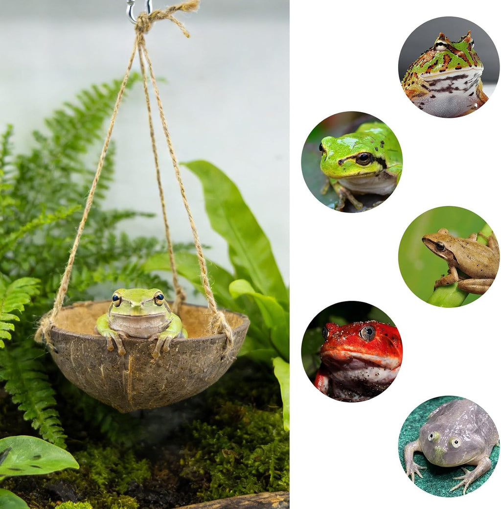 Natural Coconut Shell Frog Swing Toy, Reptile Hammock Bed with Hanging Rope & Metal Buckle, Terrarium Habitat Decor Accessories for Lizard Gecko Bearded Dragon Hamster Birds Hermit Crab Bearded Dragon