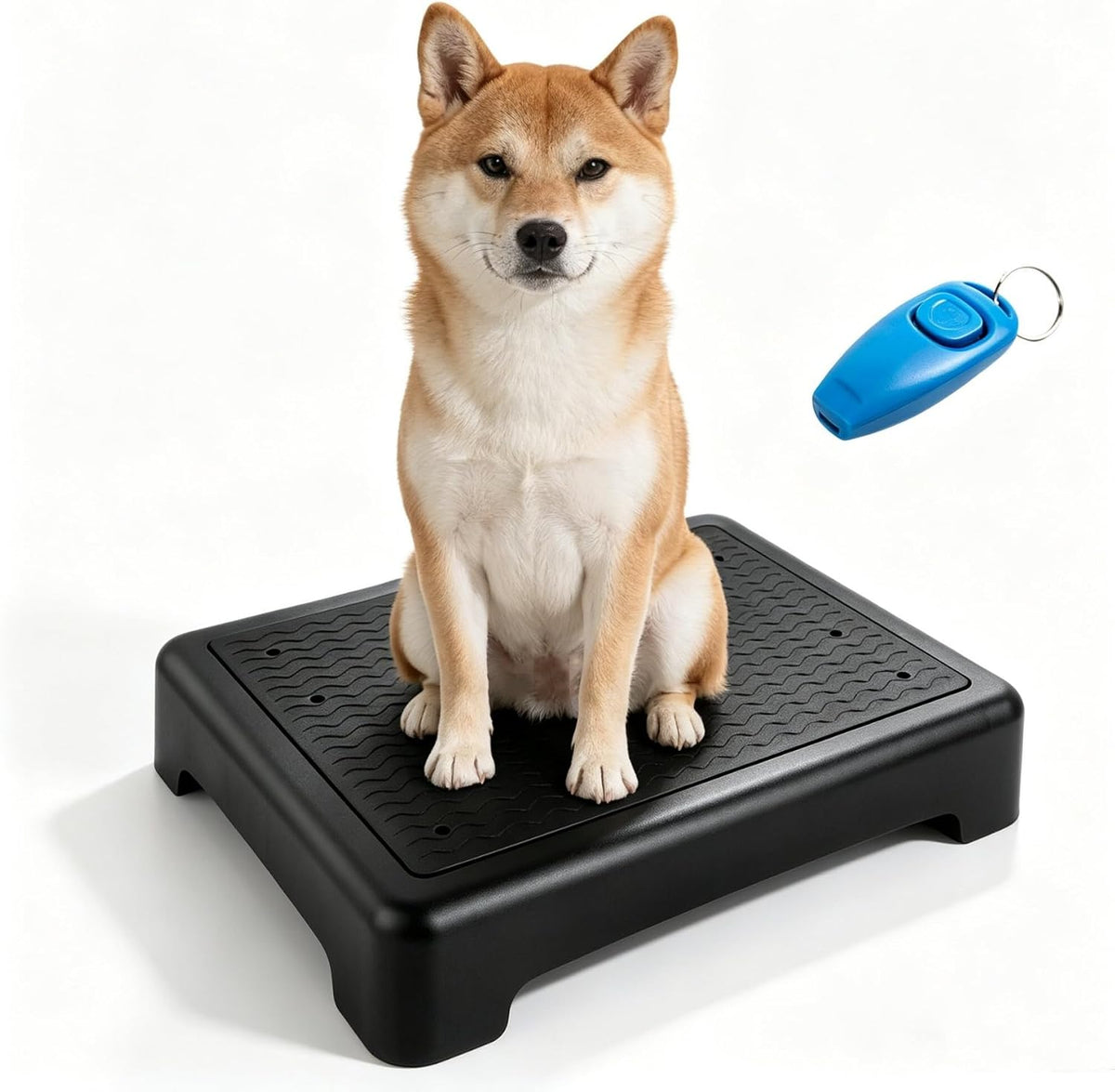 Dog Training Place Board with Whistle, Non-Slip Portable Dog Platform for Agility, Puppy Training Equipment for Small Medium Dogs 17.3"x13.4"x3.8" (Black)