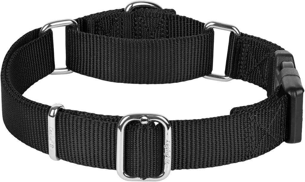 Martingale Collar with Quick Release Buckle for Medium Large Dog