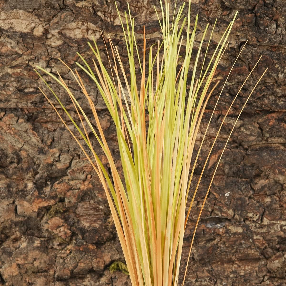 Fake Desert Dry Grass Reptile Plants Bearded Dragon Terrarium Décor