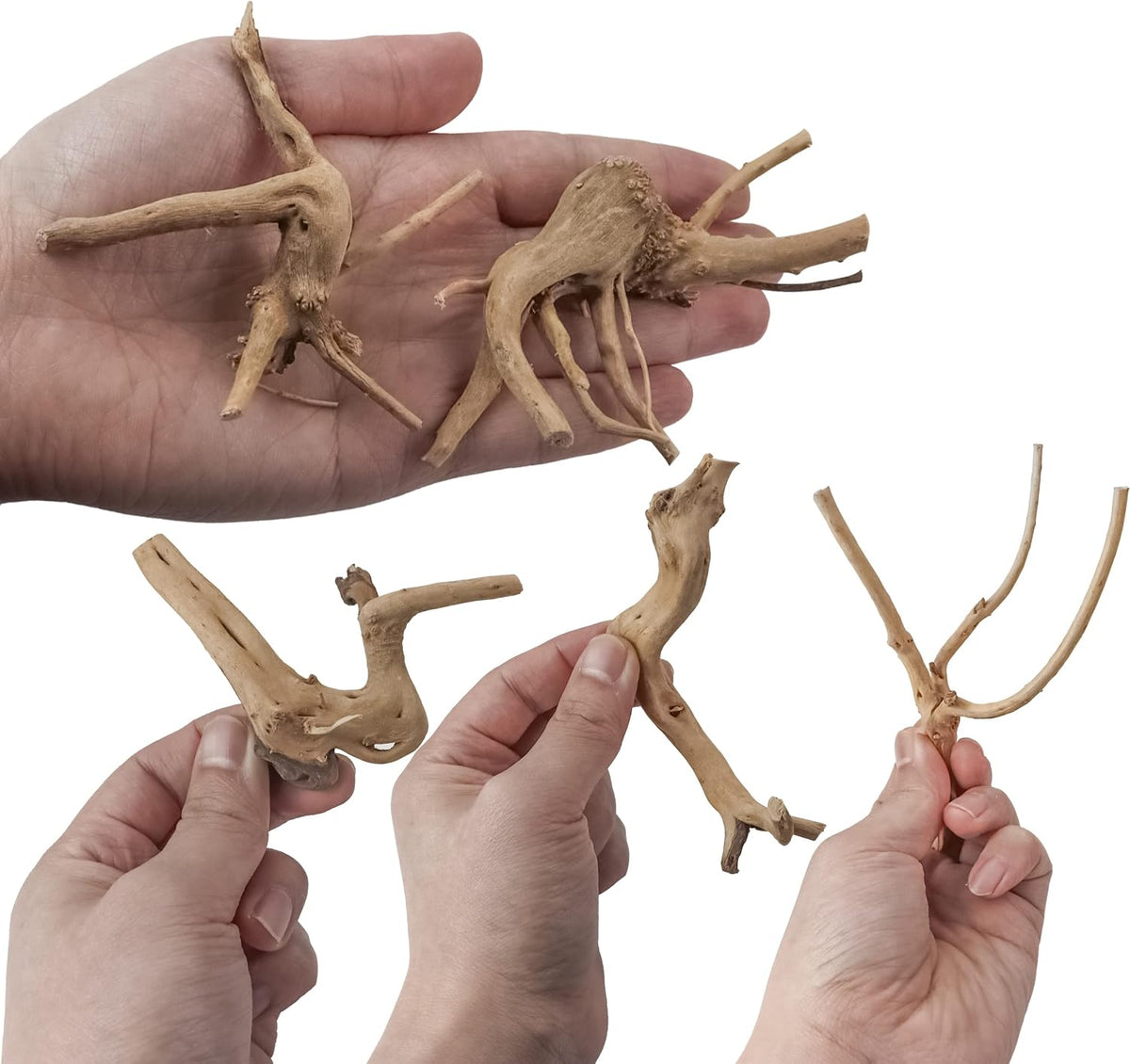 Vmiapxo 8-Pack Natural Driftwood, Sinkable Spider Wood (3.15''-4'')