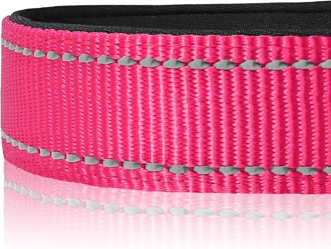 Joytale Reflective Dog Collar, Soft Neoprene Padded, Metal D-Ring, Nylon Pet - Image 4