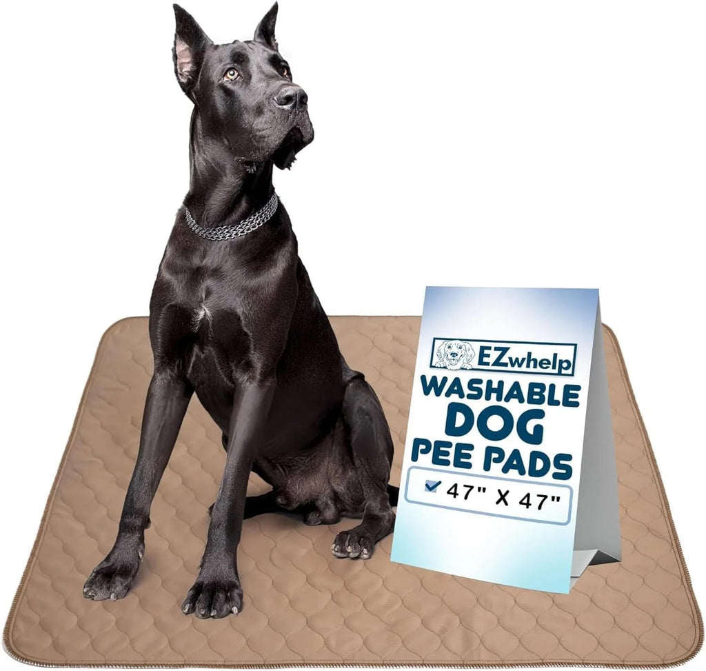 EZwhelp Reusable Dog Pee Pad, Waterproof Mat 41x41 in w/Grommets, 1 Pack