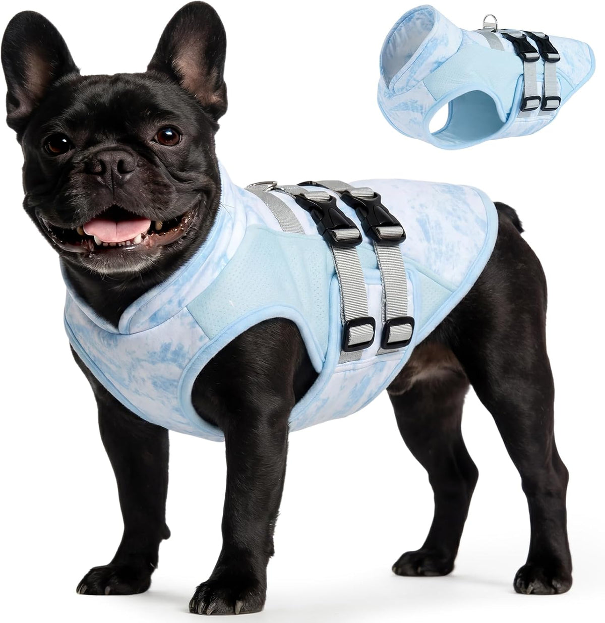 DORA BRIDAL Dog Cooling Vest for Summer, Lightweight Breathable Mesh Cooling Jacket with Harness, Soft Pet Cooler Shirt for Frenchie, UV Protection for Beach Hiking Walking -M, Blue
