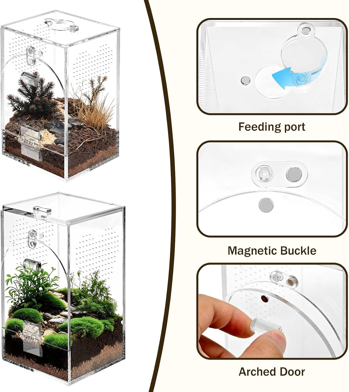 Set of 2 Jumping Spider Enclosure, No Assembly Required