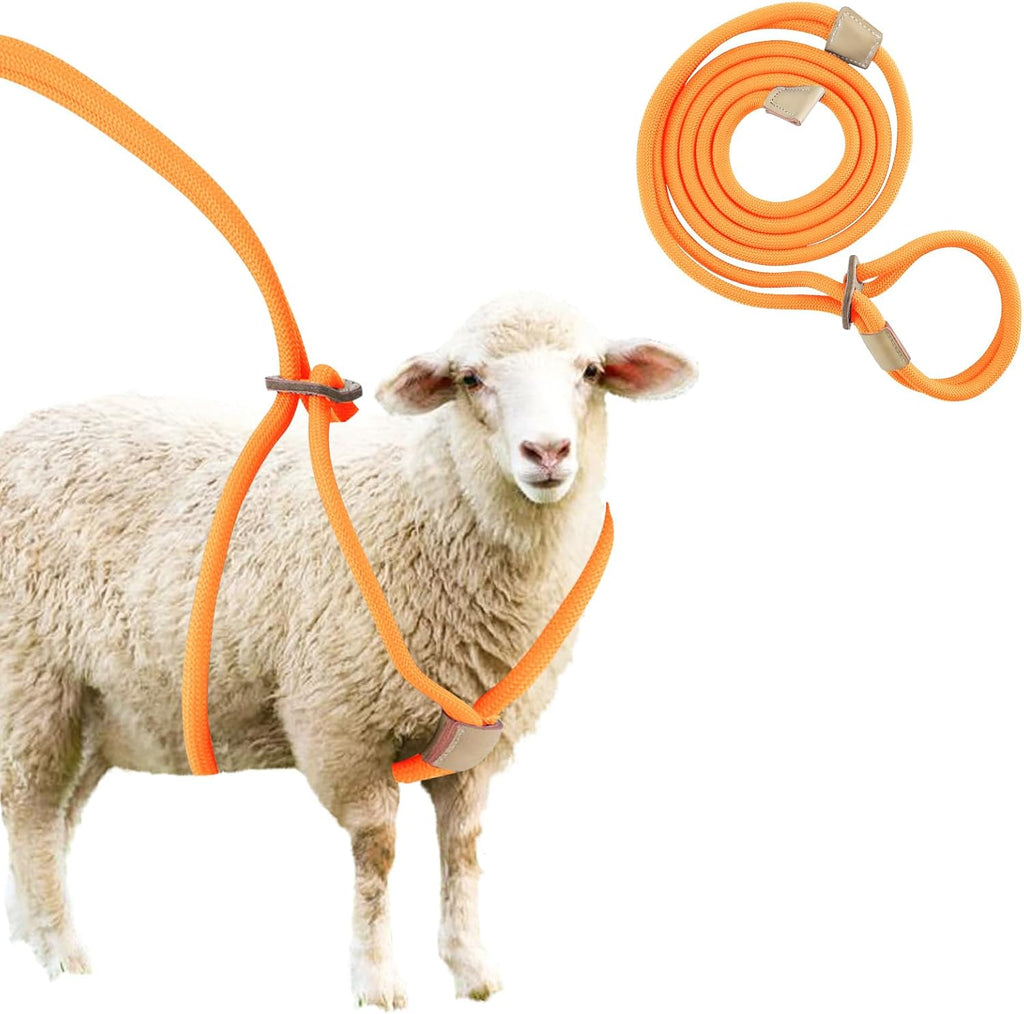 Goat Harness For Walking - Washable Goat Leash And Accessories - Livestock Supplies