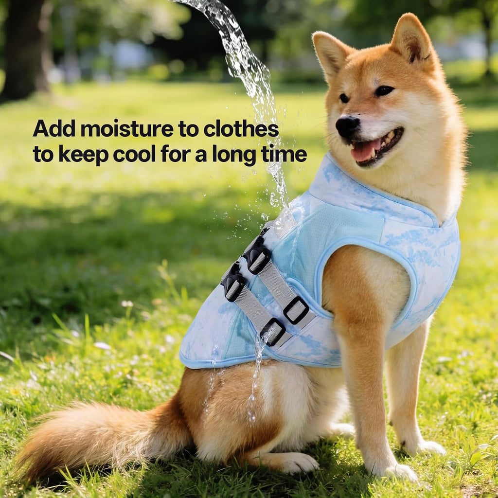DORA BRIDAL Dog Cooling Vest for Summer, Lightweight Breathable Mesh Cooling Jacket with Harness, Soft Pet Cooler Shirt for Frenchie, UV Protection for Beach Hiking Walking -M, Blue
