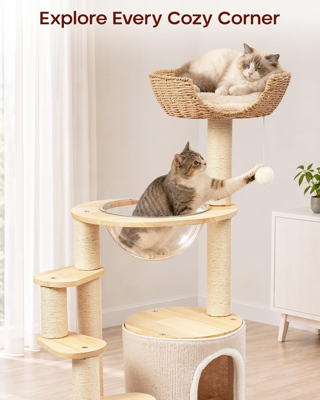 Solid Wood Cat Tree for Kitten & Munchkin, Modern Cat Tower with Low-Rise Steps, Indoor Multi-Level Aesthetic Boho Cat Furniture with Space Capsule, Condo, Hand-Woven Bed,for Minuet & Napoleon