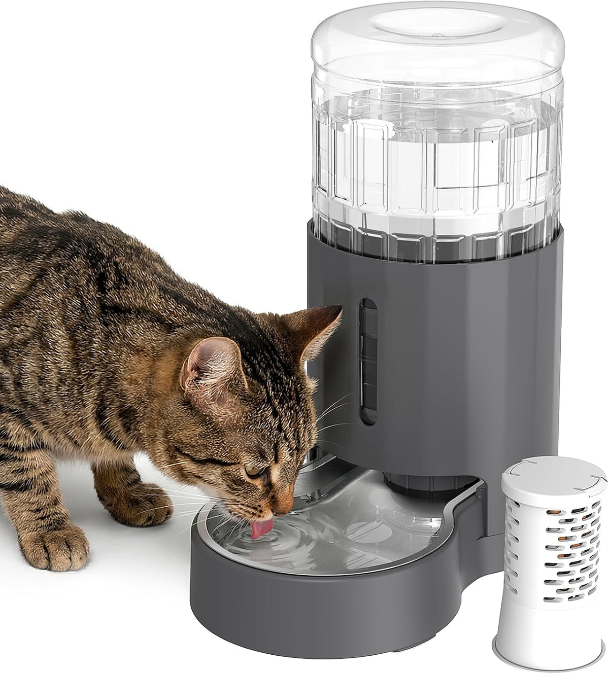 JUNSPOW Cat Water Dispenser and Stainless Steel Bowl