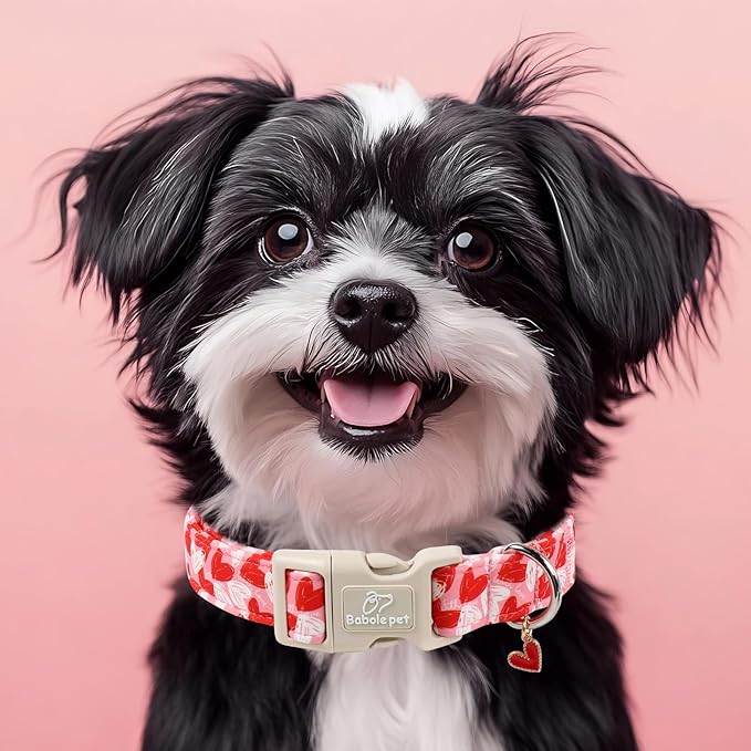 Valentines Dog Collar for Medium Dogs - Image 7