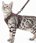 Cat Harness and Leash Set Escape Proof Tactical Medium Kitten Harness Emotional by pangdi