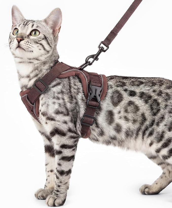 Cat Harness and Leash Set Escape Proof Tactical Large Kitten Harness Emotional by pangdi