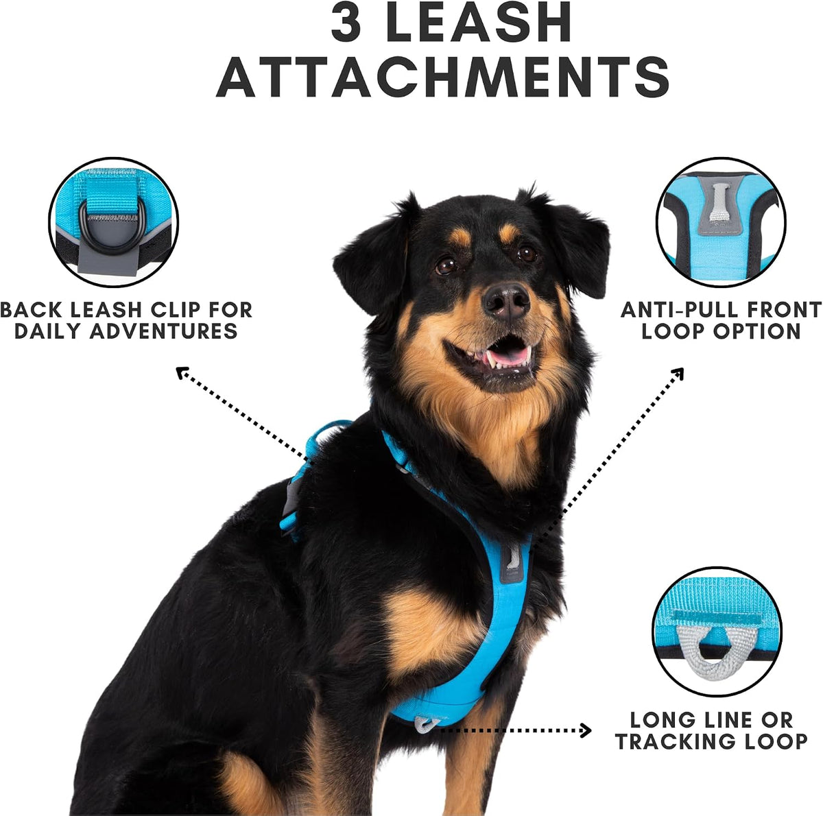 ShawnCo Basecamp Dog Harness, No-Pull Pet Vest (Electric Blue,S)