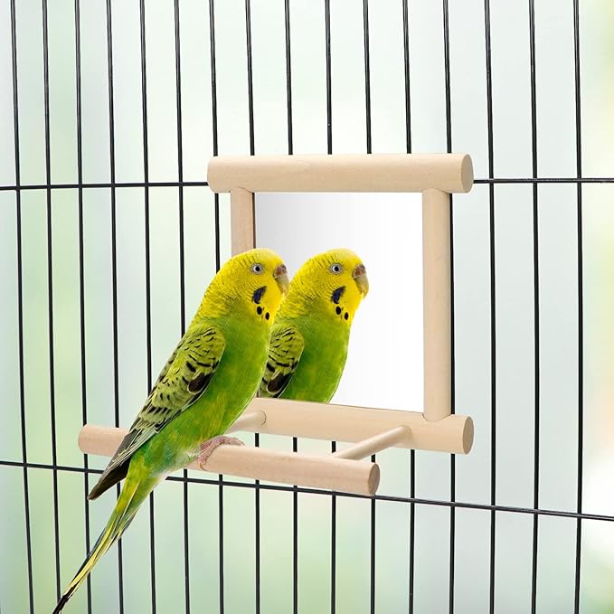 Bird Mirror with Perch Bird Toys - Image 3