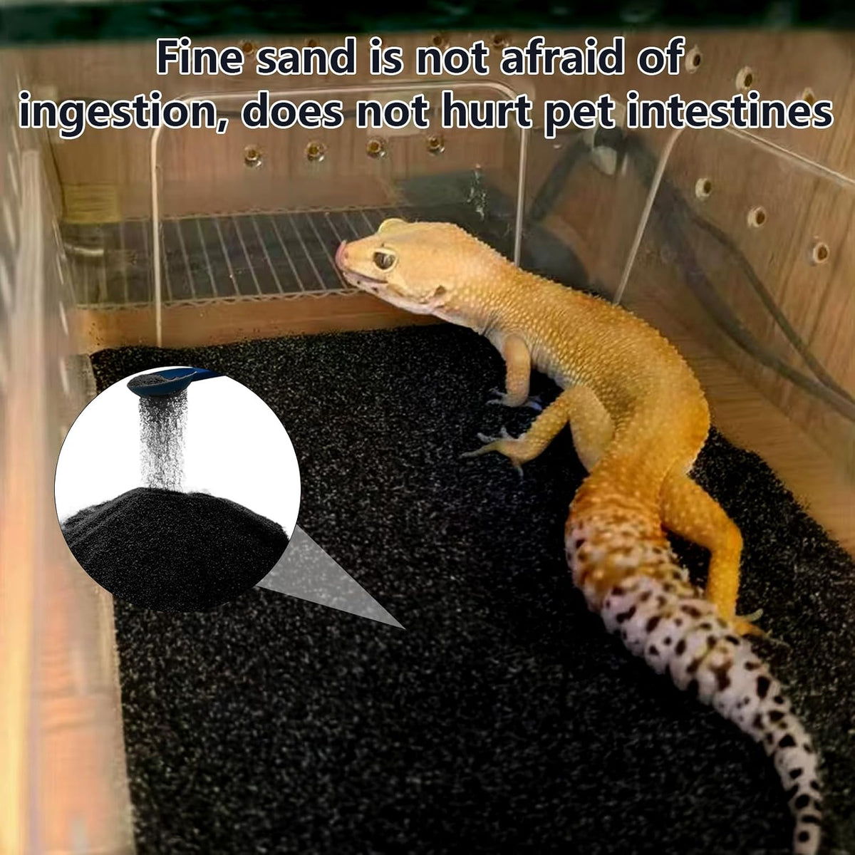 BNOSDM Reptile Sand,2.2lb Bearded Dragons Sands Substrate Bedding,Lizard Black Desert Blend Sands for Snakes Geckos Tortoises Turtle Tarantula Hermit Crab Scorpion Invertebrates