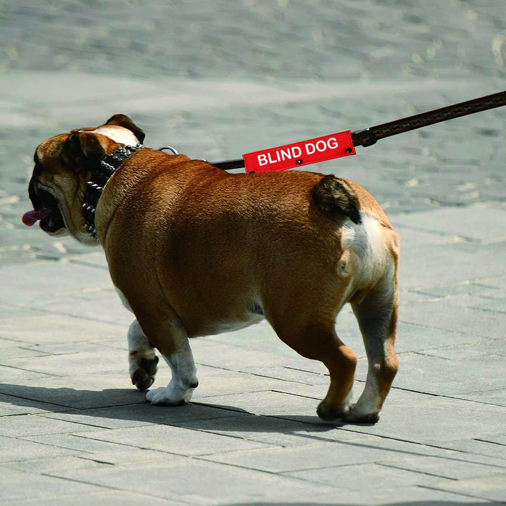 Blind Dog Sleeve - Visual Impairment Dog Leash Wrap Alert ID Patch Tag Pet Birthday Gift