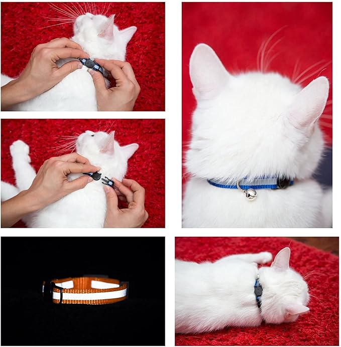 Reflective Cat Collar with Bell, Solid & Safe Collars - Image 3