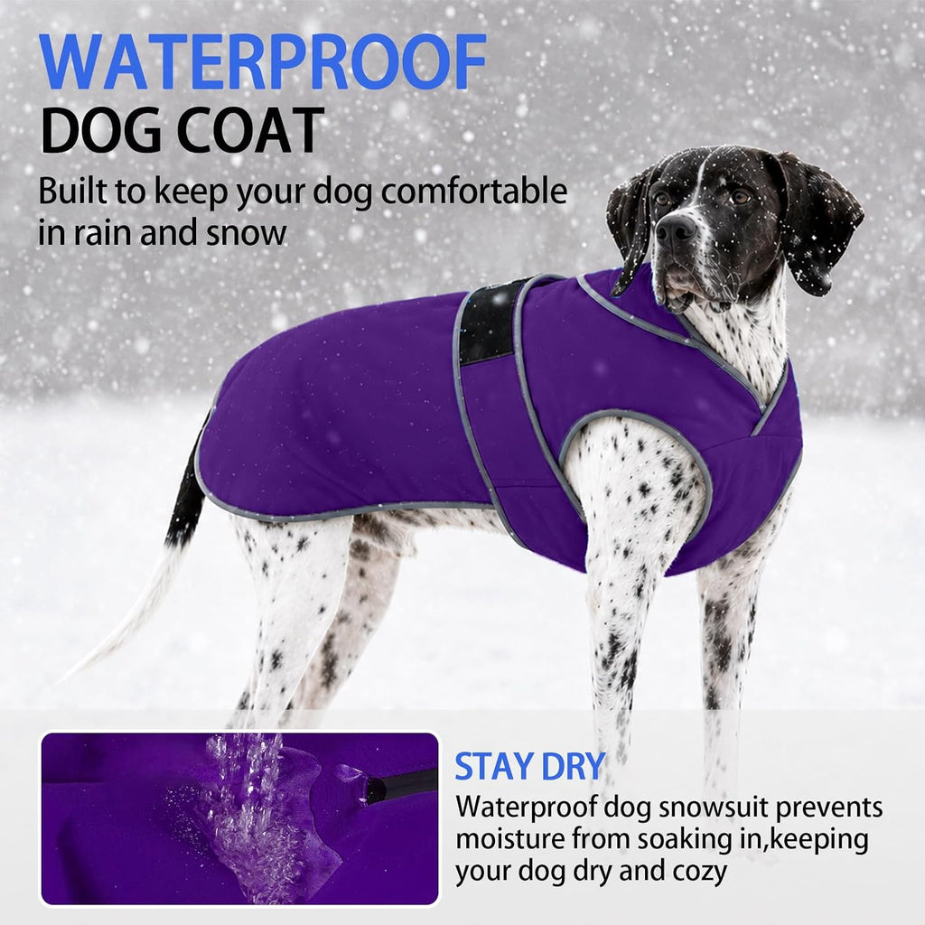 MIGOHI Warm Dog Coat Waterproof Winter Dog Jacket, M, Purple