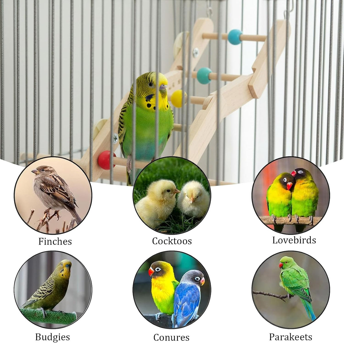2 Pack Bird Ladder Toy, Natural Wood Parrot Climbing Bridge with Colorful Beads and Hanging Hooks, Bird Cage Accessories for Parakeets Budgies Cockatiels Lovebirds Small Parrots