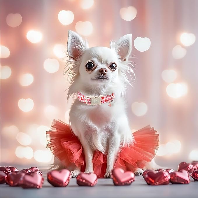 Valentines Dog Collar for Medium Dogs - Image 7