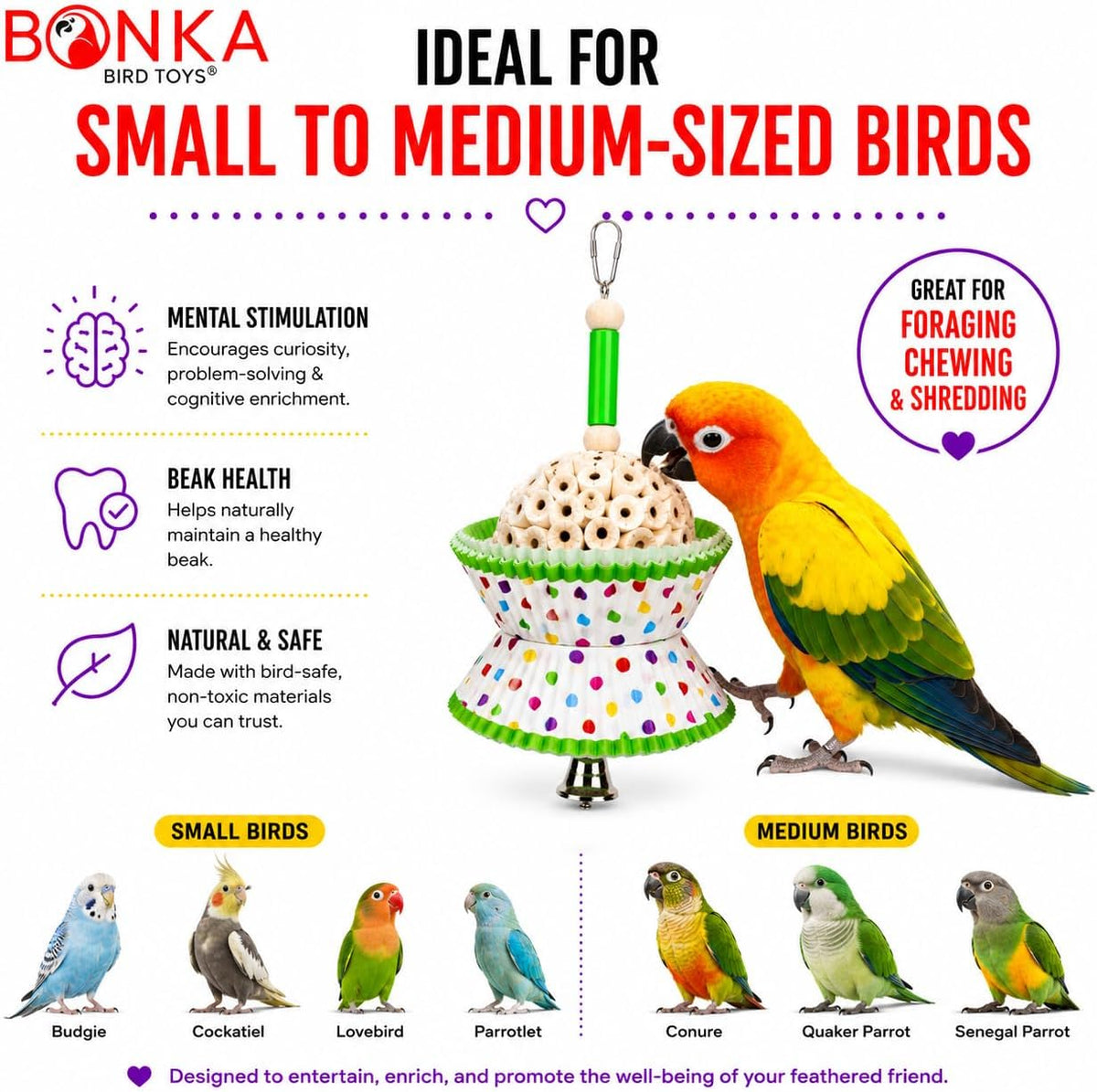 Bonka Bird Toys 1925 Cake Natural Sola Shred Forage Chew Treat Parrot Parrotlet Budgie Cockatiel Parakeets and Other Similar Birds