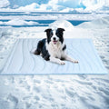 BECEMURU Dog Cooling Mat in Summer & Plush Warm Blanket in Winter, 2-Sided by BECEMURU