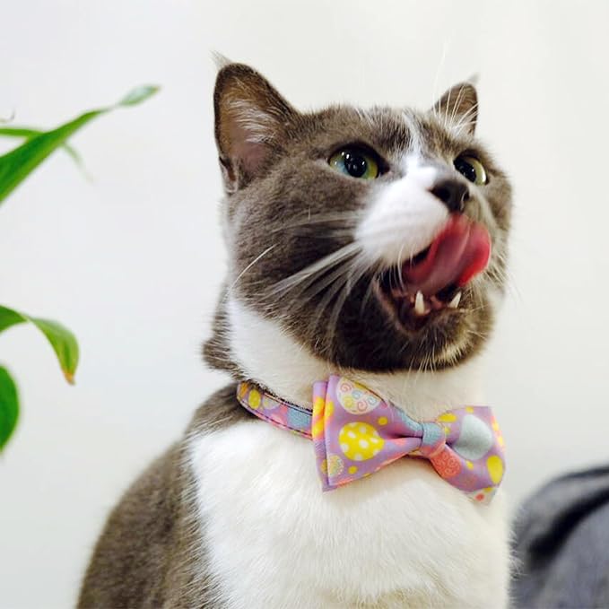 2 Pack Easter Day Cat Collar - Image 6