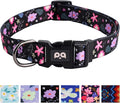 QQPETS Adjustable Soft Dog Collar: Print Flower Pink Multicolor Cute Patterns by QQPETS
