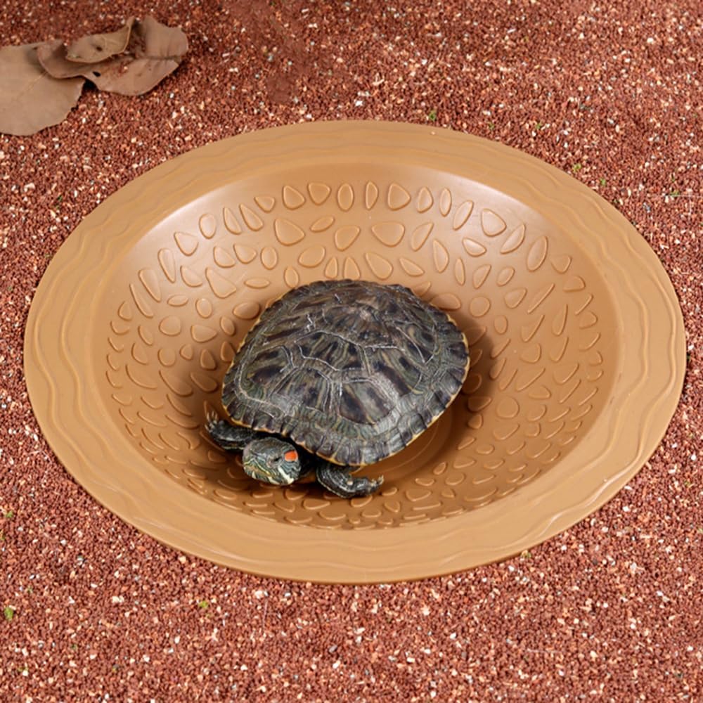 Turtle Bathing Pool Small, Resin Water Dish Feeding Bowl with Gentle Slope