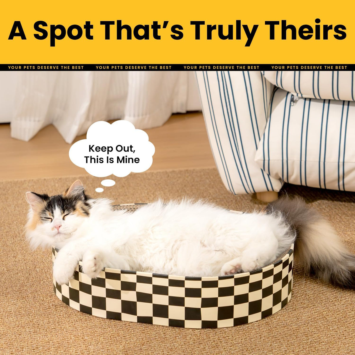 Conlun Oval Cat Scratcher Bed | Scratching Bowl Lounge for Kittens | Medium