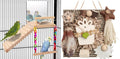 Kyouki Bird Play & Foraging Bundle - Wooden Perch Gym with Mirror/Ladder & Chewable Cardboard Foraging Toy for Parakeets, Cockatiels, Lovebirds, Conures & Small/Medium Parrots