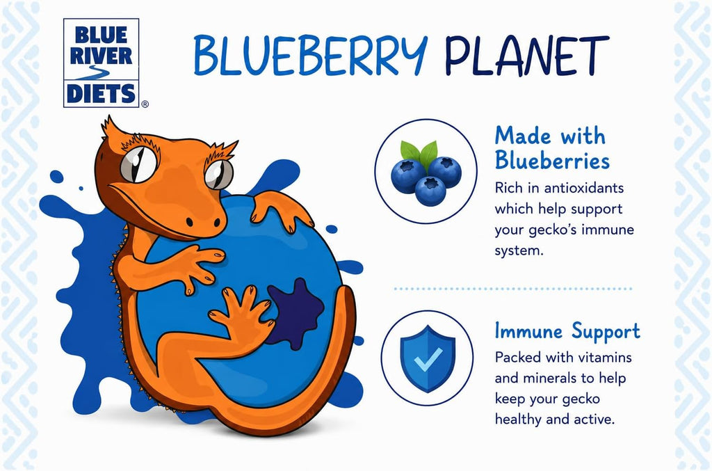 Blue River Diets Complete Crested Gecko Food for Crested Geckos | All-Natural Gecko Food Made in the UK | 2.10oz | 60g Blueberry Planet | 69% Real Fruit
