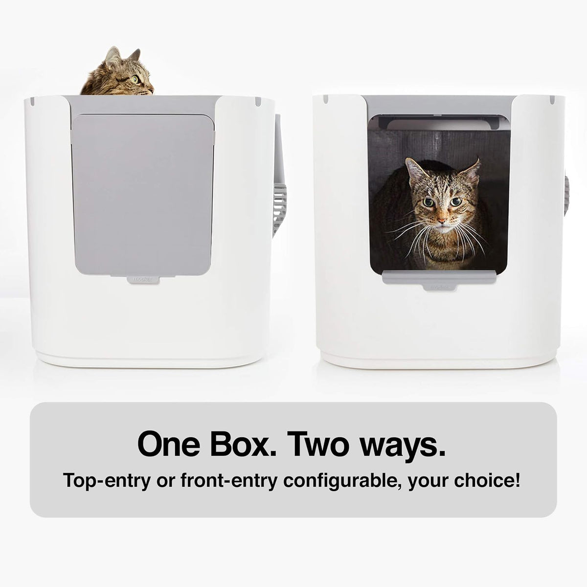 Modkat XL Cat Litter Box, Top or Front-Entry, Liner, Scoop & Filters, White