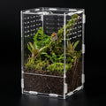 9.8 Inch Jumping Spider Enclosure, Desktop Micro Terrarium, Breeding Box, 360° Clear Acrylic Insect Habitat, 3-Side Ventilation, Easy Assembly, for Mantis, Tarantula, Snail, Small Reptiles, Plants